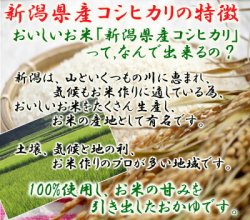画像2: 白がゆ250g たいまつ食品 レトルト おかゆ 新潟県産こしひかり コシヒカリ 国内産 ダイエット