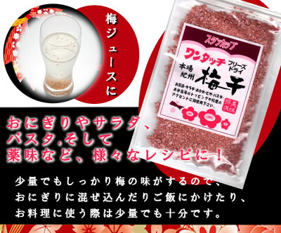ワンタッチ梅干38ｇ 梅干し 無添加 紀州産 和歌山産 うめぼし 国内産 フリーズドライ 乾燥梅干 ふりかけ