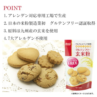 グルテンフリー 玄米粉 300g 玄米粉 Glutenfree 7大アレルギー不使用 グルテンフリー 玄米粉 300g 玄米粉 Glutenfree 7大アレルギー不使用