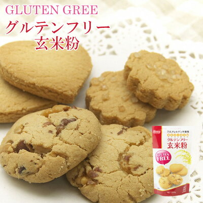 グルテンフリー 玄米粉 300g 玄米粉 Glutenfree 7大アレルギー不使用