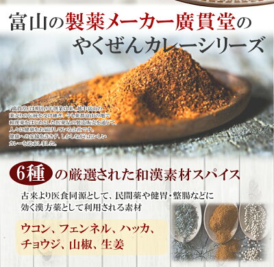 レトルト カレー 廣貫堂 やくぜんカレー 3種類6食詰め合わせセット ビーフ ポーク ブラック スパイス 和漢素材 薬膳 常温保存