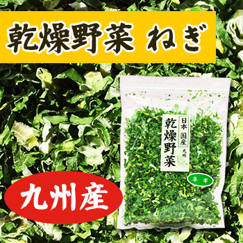 乾燥野菜 国産 九州産 ねぎ 30ｇ いきいき食堂