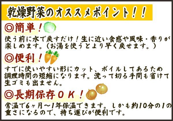 乾燥野菜 国産 九州産 大根葉 100ｇ - いきいき食堂